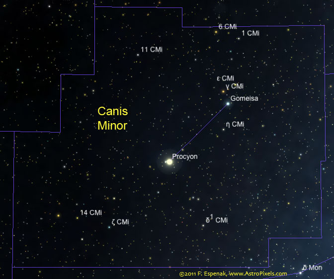 Canis Minor