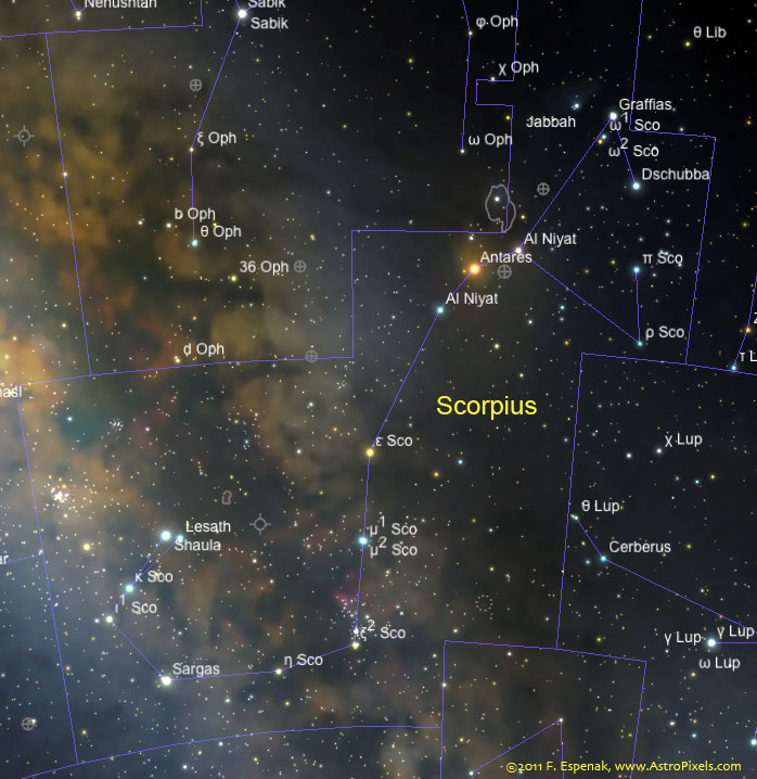 Scorpius