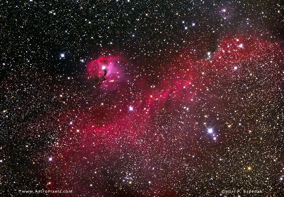 Seagull Nebula