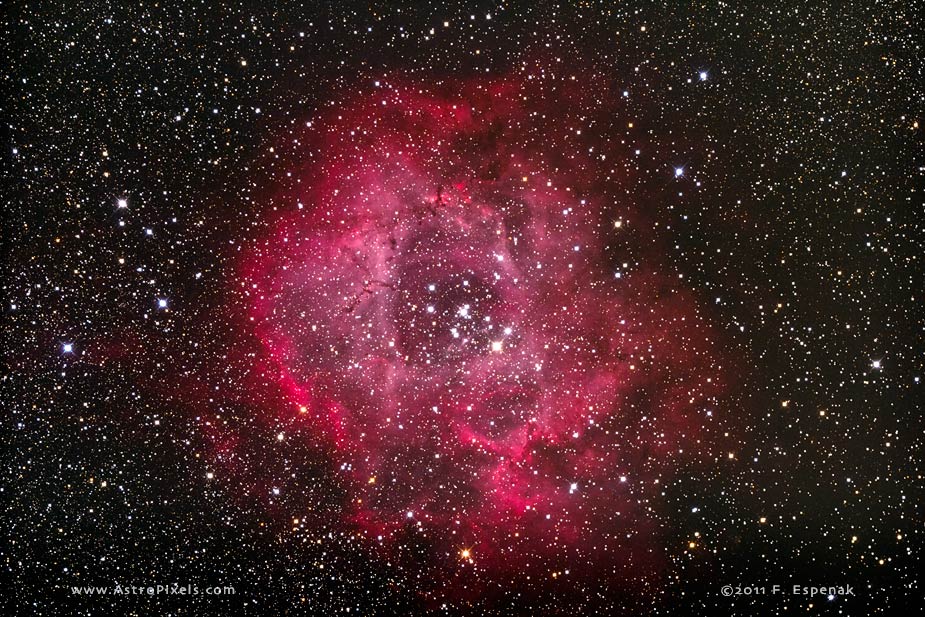 Rosette Nebula