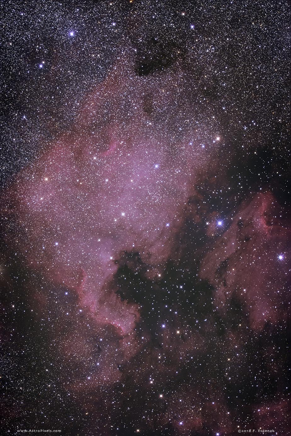 NGC 7000