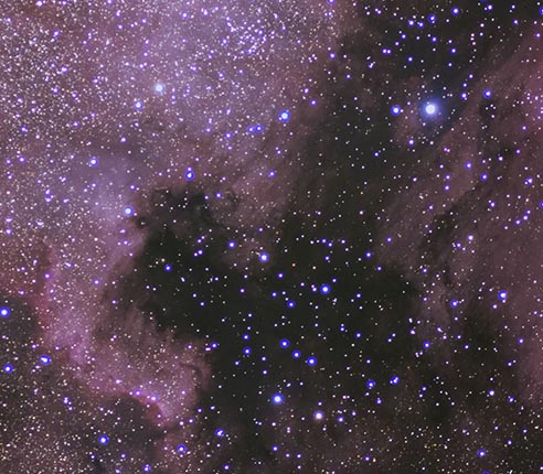 NGC 7000