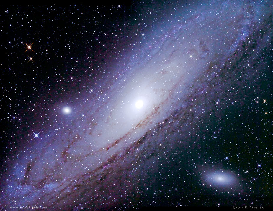 M31