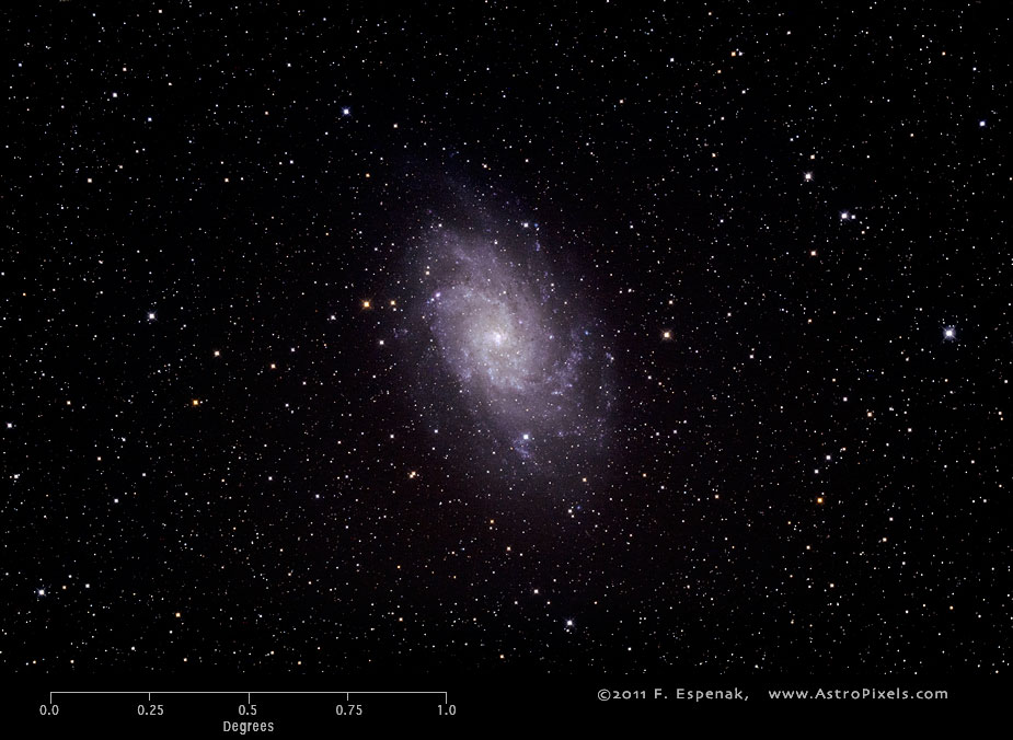 M33