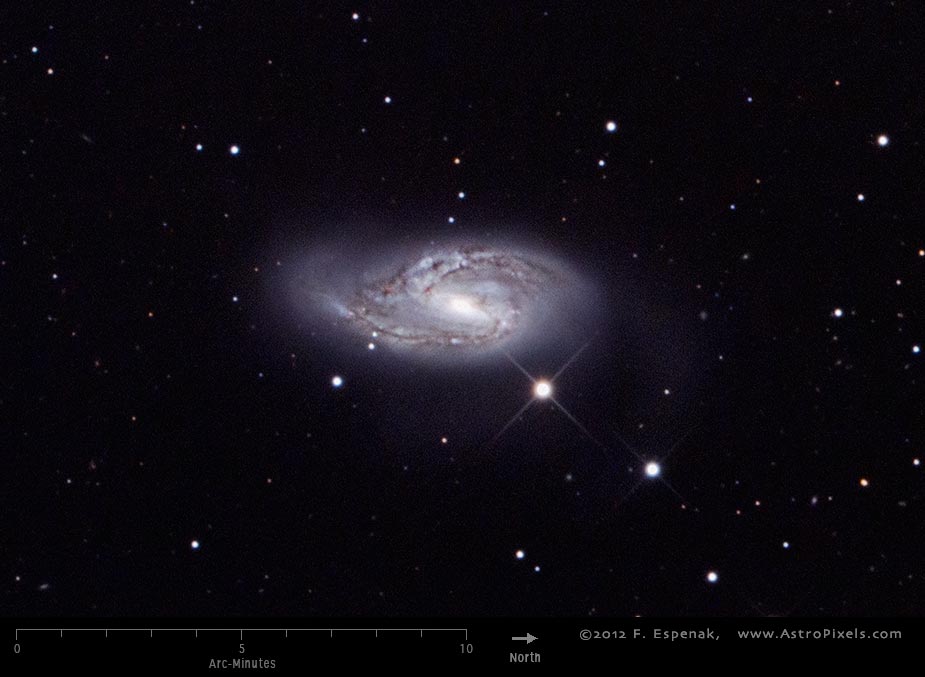 M66