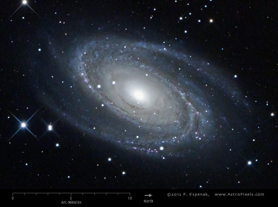 M81