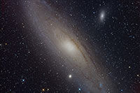 M31