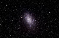 M33