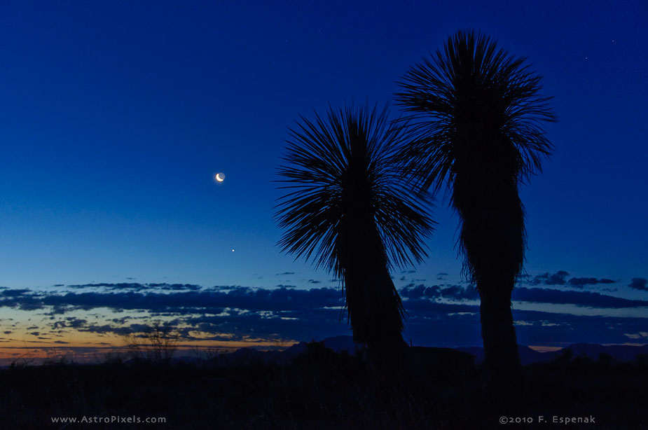 Moon, Jupiter and Yuccas - 1