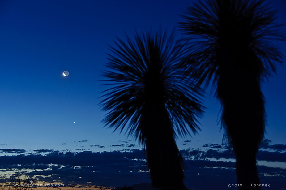 Moon, Jupiter and Yuccas - 1