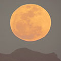 SuperMoonrise11-02