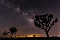 MilkyWayJoTree2019-1001-01m