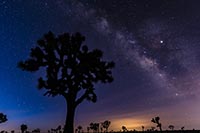 MilkyWayJoTree2019-1001-01m