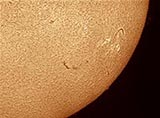 Sun in H-alpha