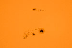 Sun with sunspot